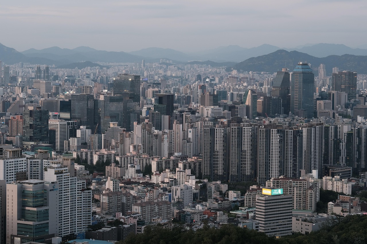 국현미 서울