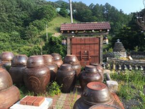 제주도 3월 날씨를 알아보자