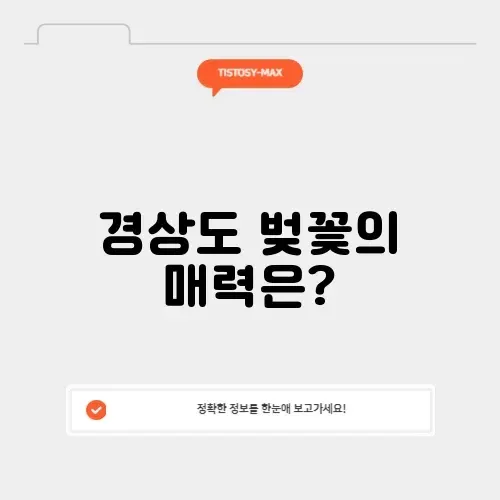 경상도 벚꽃 명소