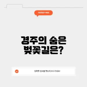 경주 겹벚꽃 명소