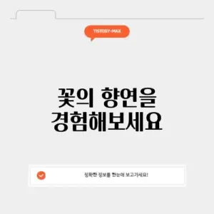 화순 꽃축제