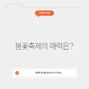 동대문구 봄꽃축제 기본정보