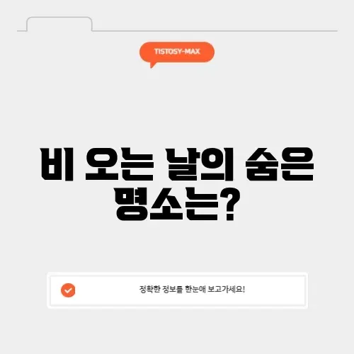 서울 비올때 갈만한곳