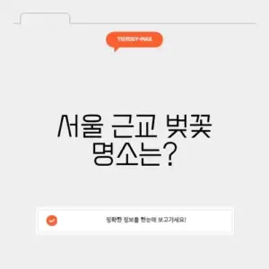 서울 근교 벚꽃 드라이브