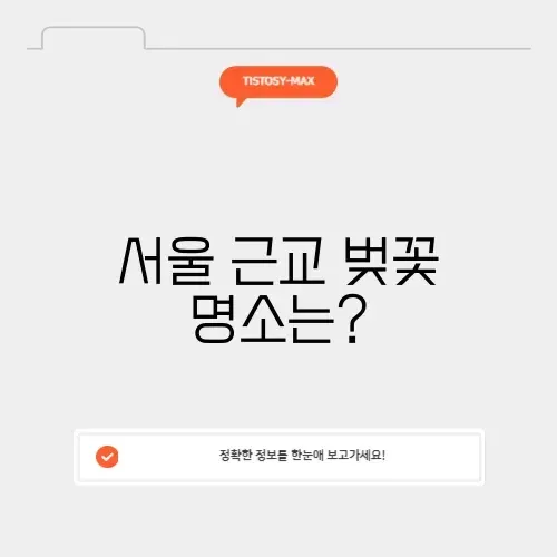 서울 근교 벚꽃 드라이브 서울 근교 벚꽃 드라이브