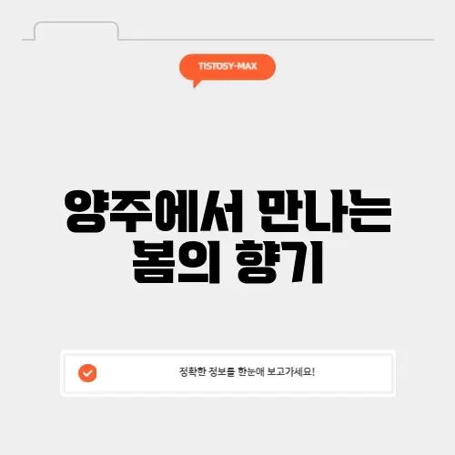 양주 벚꽃 명소