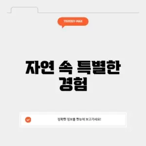 수원 유스호스텔 캠핑장