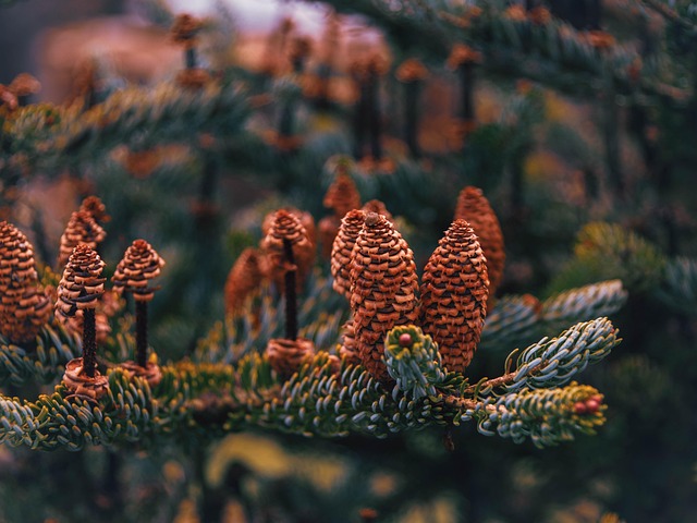 세바여 무료공연 관련 이미지 3