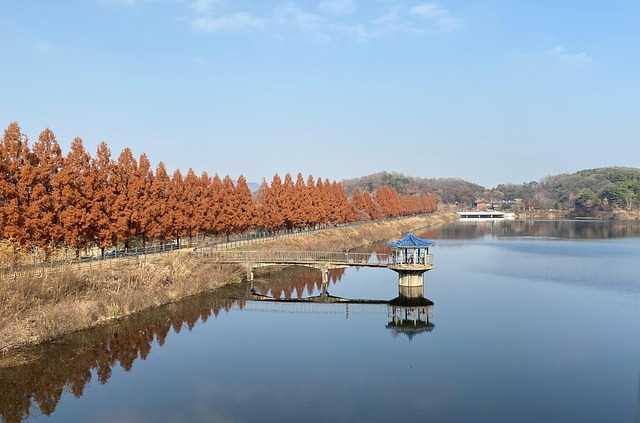 남서울대 수시 발표 관련 이미지 2