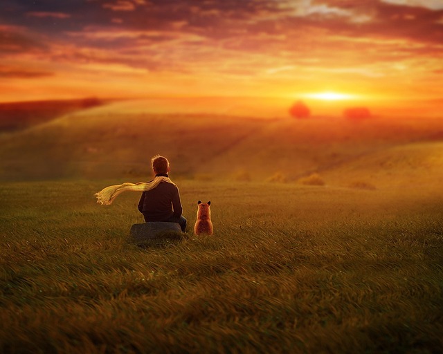 어린왕자 명대사 관련 이미지 3