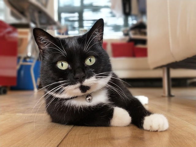 수능 채점 관련 이미지 1