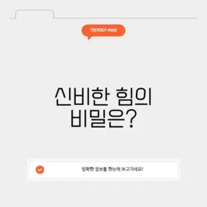 현자의돌 블로그