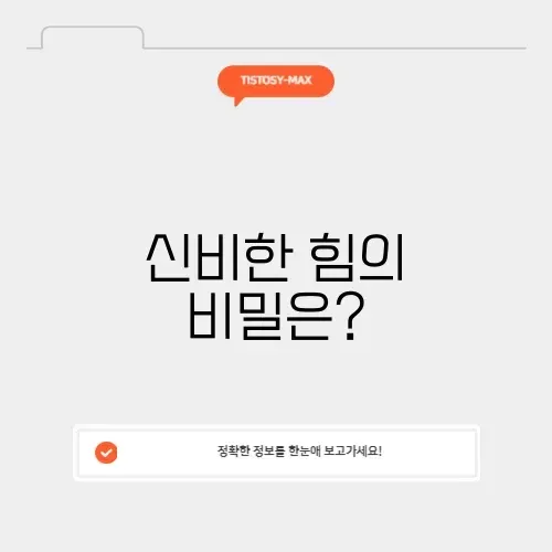 현자의돌 블로그 현자의돌 블로그