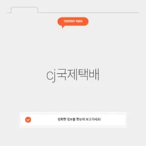 cj국제택배