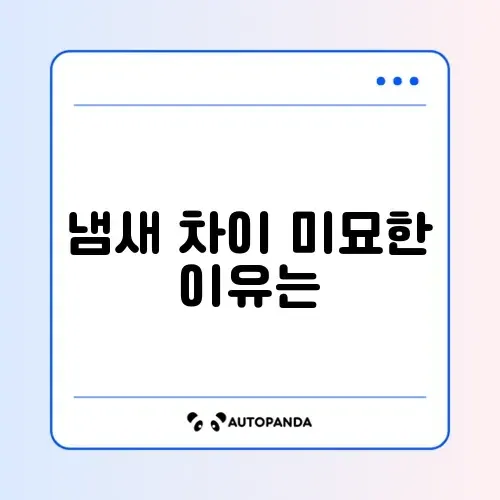 로봇청소기 로보락 vs 드리미 물걸레 냄새 비교