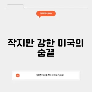 미시유에스에이