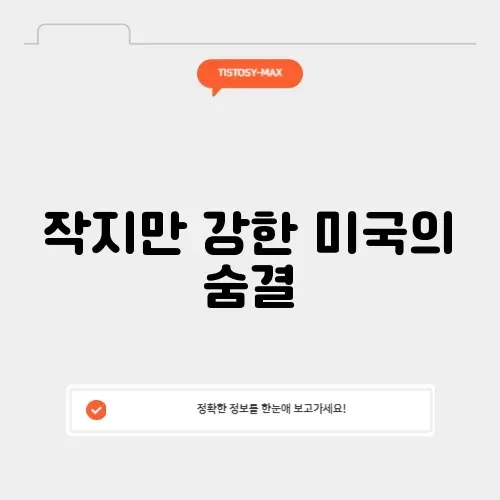 미시유에스에이