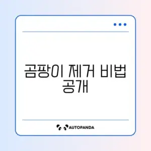실리콘 곰팡이 제거 안됨 해결 2026