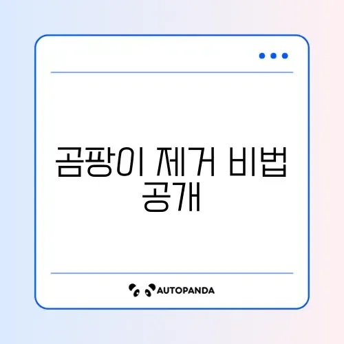 실리콘 곰팡이 제거 안됨 해결 2026