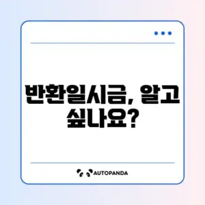 국민연금 반환일시금, 정확하게 알아보기