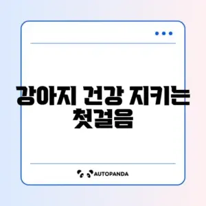 강아지 예방접종 일정과 준비물 완벽 정리 가이드
