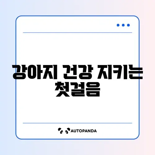 강아지 예방접종 일정과 준비물 완벽 정리 가이드