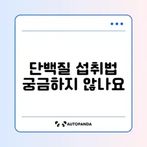 다이어트 단백질 섭취량 완벽 가이드 최신 총정리 알아보기