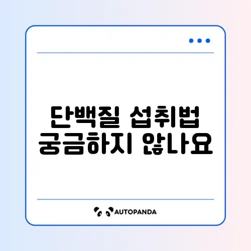 다이어트 단백질 섭취량 완벽 가이드 최신 총정리 알아보기