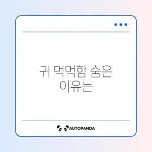 한쪽 귀 먹먹함 원인과 해결 방법 완벽 정리