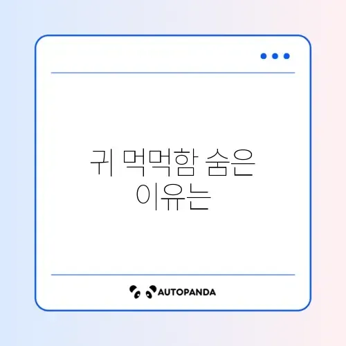 한쪽 귀 먹먹함 원인과 해결 방법 완벽 정리