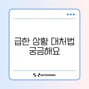 급똥 참는법 완벽 정리 가이드