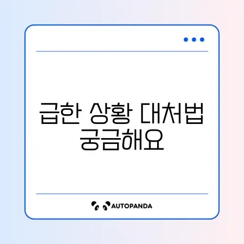 급똥 참는법 완벽 정리 가이드
