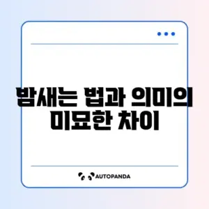 밤새는 법과 밤세다의 차이 완벽 정리