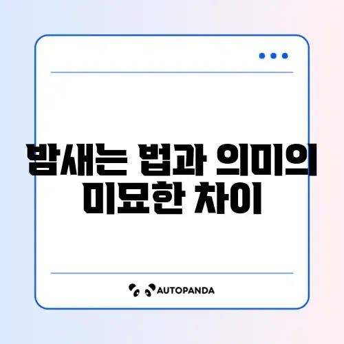 밤새는 법과 밤세다의 차이 완벽 정리