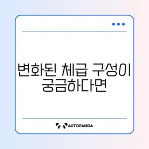 2024년 UFC 체급표 완벽 정리 가이드