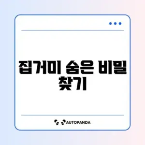 집거미 퇴치 완벽 가이드 알아보기