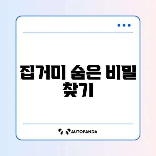 집거미 퇴치 완벽 가이드 알아보기