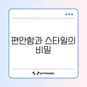 널디 트레이닝복 완벽 정리 가이드
